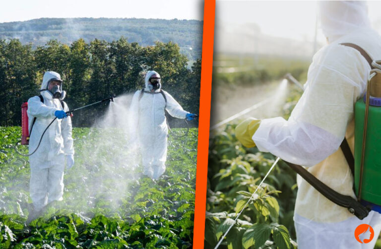 Creative Strategies for Safe and Effective Pest Management