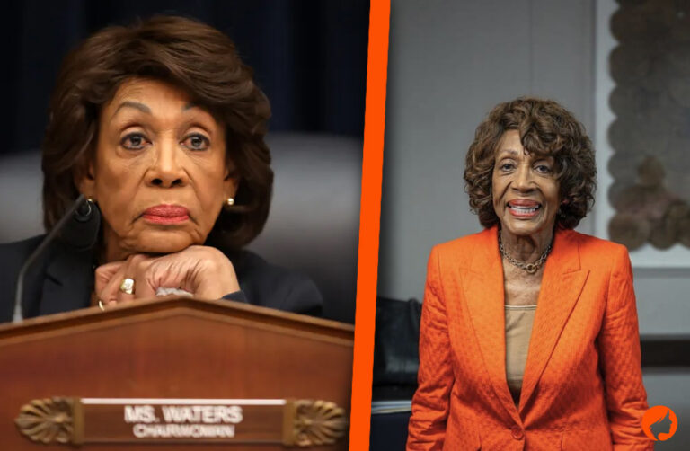 Maxine Waters Net Worth and Lifestyle in 2025: What to Know About the Lawmaker