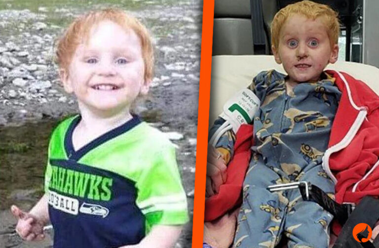 Where Is Ryker Webb Now? Inside the Remarkable Survival Story That Captured Hearts